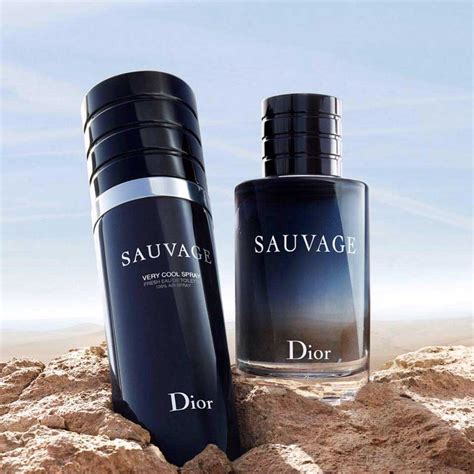 cool spray dior sauvage|Dior Sauvage deodorant spray.